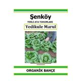 Şenköy Yerli Yedikule Marul Tohumu Doğal Ata Tohum Pakette 1 gr 500 Tohum Hediye Sebze Tohumu