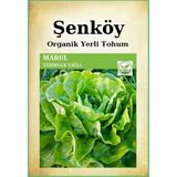 Şenköy Yerli Yedikule Marul Tohumu Doğal Ata Yedikule Yağlı Marul Tohumu Pakette 10 gr 8000 Adet - 1 Adet