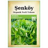 Şenköy Yerli Yedikule Marul Tohumu Doğal Ata Yedikule Yağlı Marul Tohumu Pakette 10 Gr 8000 Adet