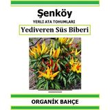 Şenköy Yerli Yediveren Acı Süs Biber Tohumu Doğal Ata Tohum Pakette 20 Tohum + Sebze Tohumu - 60 Adet