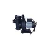 Senkron Waterfun -1 0, 1 Hp 220 Volt Havuz Pompası(MONOFAZE)/1 0.1 Hp 220 Volt Pool Pump-lions Pool