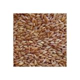 Senler Zahire- 25 Kg Yemlik Bugday Tane Bugday Guvercin Yemi Kus Yemi Tavuk Yemi