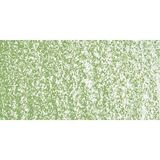 Sennelier Olive Green 046 Yağlı Pastel