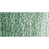 Sennelier Sap Green 087 Yağlı Pastel