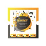 Şenses 0.25 Tam Profesyonel Divan Bağlama Teli (Bambam ve Tezene)