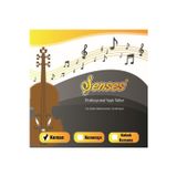 Şenses Müzik Market Keman Teli