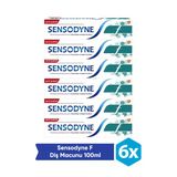 Sensodyne Diş Macunu F Florürlü Yetişkin 100 ml 6 Adet