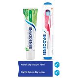 Sensodyne Ferah Nane Diş Macunu 75ml + Diş Eti Bakımı Diş Fırçası Yumuşak