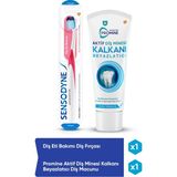 Sensodyne Promine Diş Macunu +Diş Eti Bakımı Diş Fırçası Set