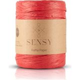 Sensy Premium 400 Metre Rafya Çanta Ipi Raffia Ip Kağıt Ip Supla Ipi 250 Gram (Kırmızı) - 41 Delft Blue