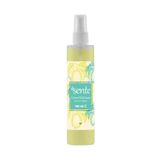 SENTE Sprey Kolonya 160 Ml
