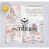 Sentinus Summer Pack Makyaj Seti (Ruj, Allık, Highlighter, Far Paleti)