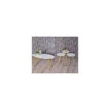 Sepetink Zigon Sehpa ve Orta Sehpa Elips Gold Metal Ayak Gold Beyaz Set