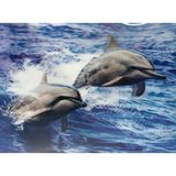 Sepetopia 5d Elmas Boyama Sevimli Yunuslar Ikili Yunus Resmi Tablosu 30X40 cm