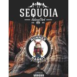 Sequoia Companion Workbook: Runner Rabbit Character Adventure Series