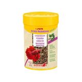 Sera Fd Bloodworms Kan Kurdu 100 Ml