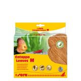 Sera Medium 18 cm 10 Adet Catappa Yaprağı