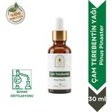 Sera Natura Çam Terebentin Yağı 30 Ml. %100 Saf