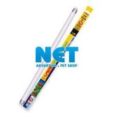 Sera T5 Plant Color 35 W Floresan Lamba