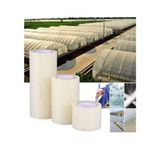 Sera Tamir Bandı 20cm*25mt