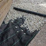 Sera Trend 1x20 metre SULZER KUMAŞ SERA TABAN ÖRTÜSÜ JÜT BLUEBERRY PEYZAJ UYGULAMA ÖRTÜSÜ MULCH NAYLONU ÇİLEK MALÇ