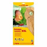 Sera XXL 32 cm 10'lu Paket Catappa Yaprağı