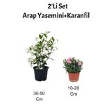 Serada Decor & Plant 2'Li Set Arap Yasemini + Karanfil Çiçeği Dış Mekan Bitkisi