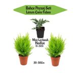 serada decor & plant Bahçe Peyzaj Seti, 2 Adet Limoni Servi Fidanı + Hediye Mini Leylandi Fidanı, 30-50cm
