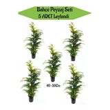 Serada Decor & Plant Bahçe Peyzaj Seti, 5 Adet Leylandi Fidanı, 40-50 cm
