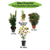 Serada Decor & Plant Bahçe Peyzaj Seti, Yeşil Taflan, Alev Çalısı, Kırmızı Zakkum, Buz Çiçeği Hediyeli
