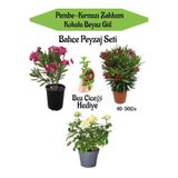 Serada Decor & Plant Bahçe Seti, Kırmızı-Pembe Zakkum, Beyaz Gül, Buz Çiçeği Hediyeli