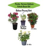 Serada Decor & Plant Bahçe Seti, Pembe Zakkum, Kırmızı Zakkum, Beyaz Gül Fidanı, Lavanta Hediye