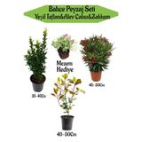 Serada Decor & Plant Bahçe Seti, Yeşil Taflan, Alev Çalısı, Kırmızı Zakkum, Hediye Mezem