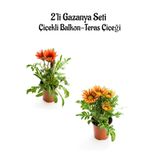 Serada Decor & Plant Gazanya Çiçeği, 2 Adet Saksılı, 10-20 cm, Kırmızı-Turuncu-Sarı, Balkon-Teras Çiçeği