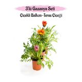 Serada Decor & Plant Gazanya Çiçeği, 3 Adet Saksılı, 10-20 cm, Pembe-Turuncu-Kırmızı, Balkon Çiçeği
