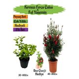 Serada Decor & Plant Kırmızı Fırça Çalısı, Kokulu Ful Yasemin, Buz Çiçeği Hediyeli Peyzaj Seti, Çok Renkli