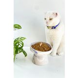 Seramik Kedi Ve Köpek Mama Su Kabı MAVİ EBRU