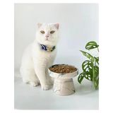 Seramik Kedi Ve Köpek Mama Su Kabı YEŞİL EBRU