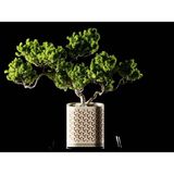Seraphis Dekoratif Saksı - Bej Üçgen Işlemeli Modern Bitki Saksısı 6 cm - 60x60x60mm