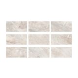 Serapool Antique Beige 1 m² 33x66 cm Doğal Porselen