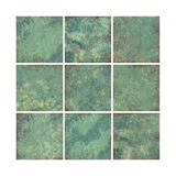 Serapool Nove Verde Tropical Doğal Porselen (1 m² - 15x15 cm)