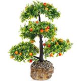 Serdar Çam Tohumculuk Bodur Erik Bonzai Ağacı Tohumu 2Li Bonsai Tohumu
