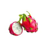 Serdar Çam Tohumculuk Bodur Saksılık Pitaya Meyvesi Tohumu 10 Adet Tohum Pithaya Fruit