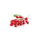 Serdar Çam Tohumculuk Eko Paket 100 Adet Tohum İthal Goji Gojiberry Tohumu Goji Berry Tohumu