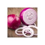 Serdar Çam Tohumculuk Kırmızı baş soğan tohumu geleneksel red creole onion