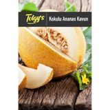 Serdar Çam Tohumculuk Kokulu Ananas Kavun Tohumu / 20+ Adet Tohum