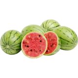 Serdar Çam Tohumculuk Nadir İthal Minyatür Karpuz Tohumu 3 Adet Tohum Baby Watermelon
