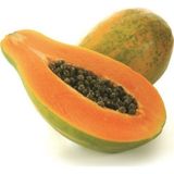 Serdar Çam Tohumculuk Tropikal Meyve Papaya ağacı Tohumu 3 Adet Tohum