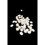 Serhat Aksesuar ve El İşçilik 10x14 mm Oval Çift Delikli Krem Pul Doğal Taş Boncuk (25 Adet)