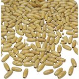 Serhat Aksesuar ve El İşçilik 8 Mm Arpa 14x5 Mm Ham Ahşap Boncuk 34 gr (175 ADET)